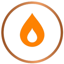 FlareSentinel — Flare Combustion Intelligence & Compliance logo